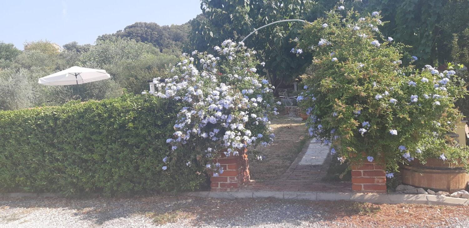 Apartments Robi- Swimming Pool And Beautiful Garden Kampor Exteriér fotografie